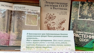 Лютики – цветочки 4