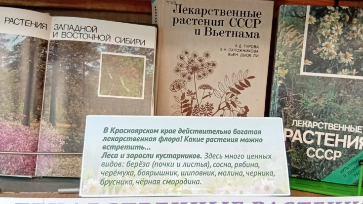 Лютики – цветочки 4